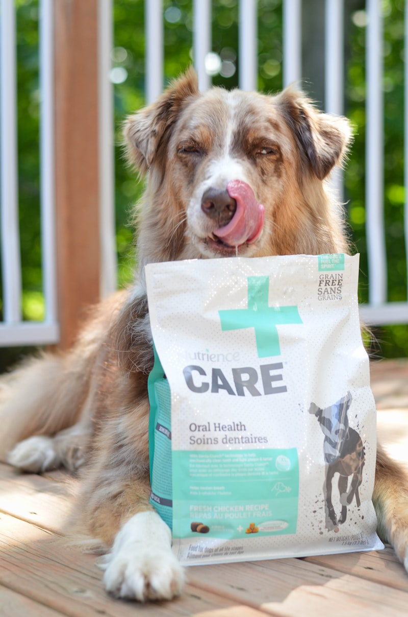 Middle East Pet Food Channel Rollout