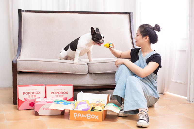 Southeast Asia Pet Treats Export Program