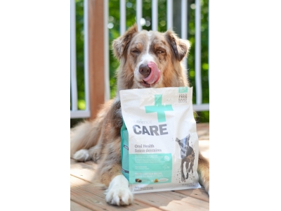 Duck Fresh Bag for Dogs and Cats