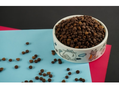 Stainless Steel Slow Feeder Dog Bowl