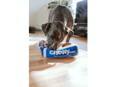 Stainless Steel Plastic Dog Bowl Liner
