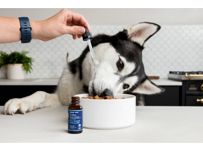 Non Spill Anti Topple Pet Bowl